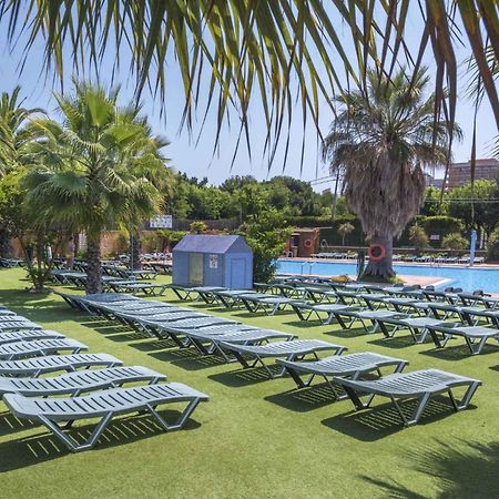 Apartments In Blanes/Costa Brava 35181 Экстерьер фото